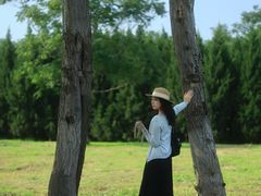 -汉长安城未央宫国家考古遗址公园