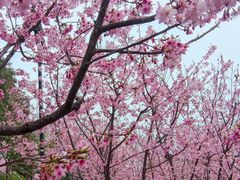 -龟山风景区-龟山电视塔