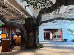 -大视光学•LINDBERG林德伯格•全球手工眼镜集合店(王府井店)