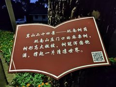 -上海市保健医疗中心