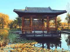 -武清南湖绿博园