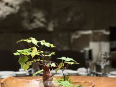 -木守西溪溪隐餐厅