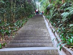 -广州市帽峰山景区