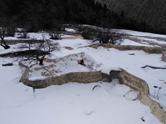 -黄龙山原始森林景区