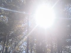 -山王坪喀斯特国家生态公园