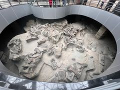 -自贡恐龙博物馆