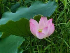 -人民公园(罗湖区)