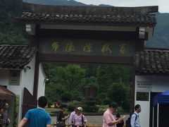 -百杖潭景区