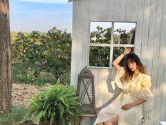 -安德鲁户外烧烤帐篷营地(马泉营店)