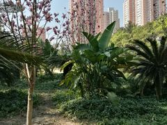 -江燕路万科里