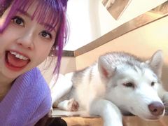 -Husky Go! 哈士奇体验馆·宠物咖啡厅狗咖