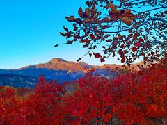 -周口店坡峰岭风景区