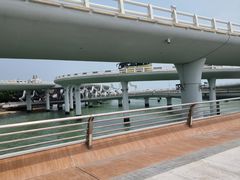 -演武大桥观景平台