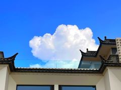 -小普陀