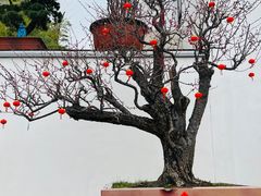 -龙华寺