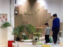 -COLOR PETS 撸猫馆·购猫·猫咖(长风大悦城店)