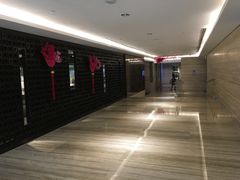 -新加坡乌节希尔顿酒店 (SG Clean)