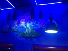 -蛙来哒(湖州东吴银泰百货店)