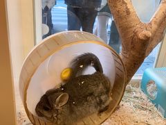 -龙猫仔乐园(惠福东路店)