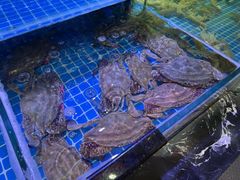 -渔民船说·北塘海鲜·天津菜·海肠捞饭(北塘古镇店)