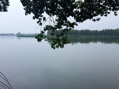 -东湖落雁景区