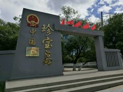 -珍宝岛
