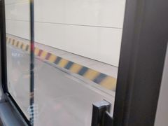 -胶州湾海底隧道