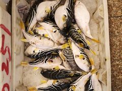 -芦潮港集贸市场