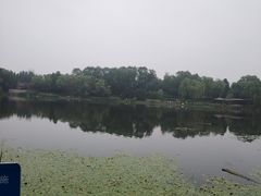 -北坞公园