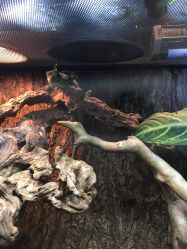 -酷嗒动物文化乐园(cutezoo西溪乐天城店)