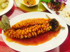 餐饮-太白山御龙湾温泉
