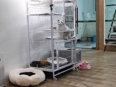 -iF摄影•全家福•证件照•形象照(南山店)