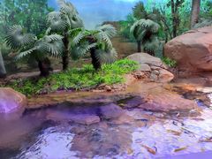 -上海海洋水族馆