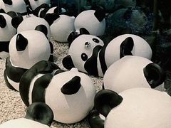 -杭州植物园