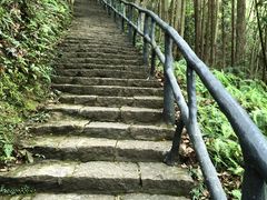 -龙湾潭国家森林公园