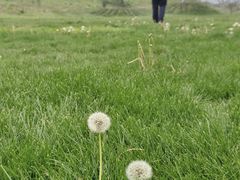 -潭柘厚院&山顶烤肉(潭柘寺店)