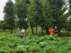 -洪湖家庭农场·团建·露营·会议