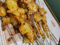 -鼎原力量东北吊炉烧烤(临河街店)