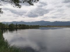 -野鸭湖国家湿地公园