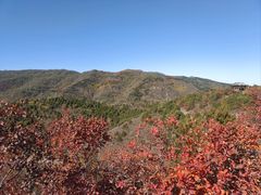 -香山公园