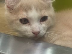 -满记甜品(苏州中心店)