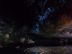 -怀托摩萤火虫洞