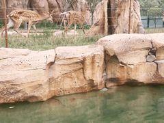 -郑州银基国际旅游度假区