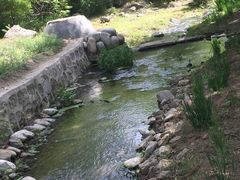 -白水寺森林公园