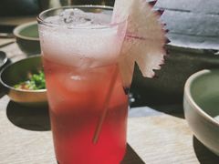 洛神酸梅-毛辣果·酸(OHA复兴西路店)