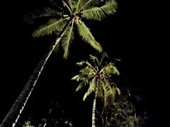 -石梅湾