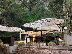 -龙井壹号·茶缘山景宴(龙井村店)