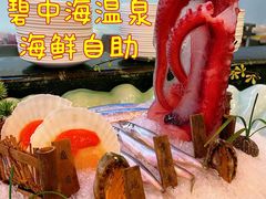 -碧中海汤泉汗蒸酒店