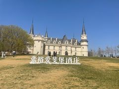 -北京张裕爱斐堡酒庄