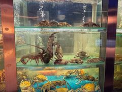 -1718海鲜姿造(苏宁宴请臻选店)